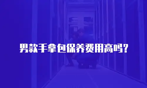 男款手拿包保养费用高吗？