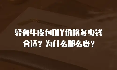轻奢牛皮包DIY价格多少钱合适？为什么那么贵？