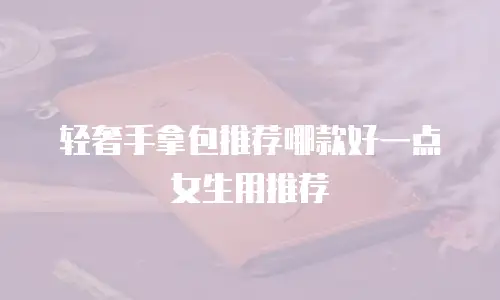 轻奢手拿包推荐哪款好一点女生用推荐