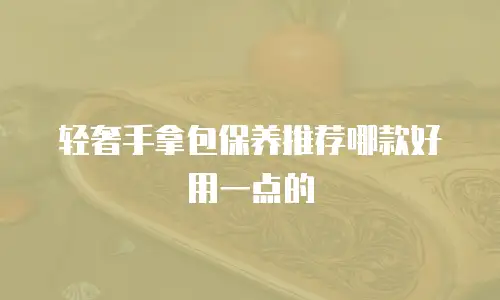 轻奢手拿包保养推荐哪款好用一点的
