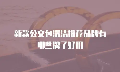 新款公文包清洁推荐品牌有哪些牌子好用