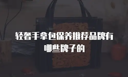 轻奢手拿包保养推荐品牌有哪些牌子的