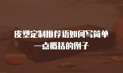 皮塑定制推荐语如何写简单一点概括的例子