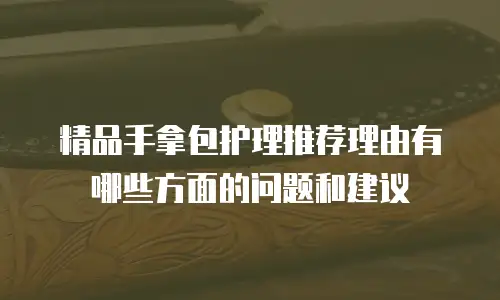 精品手拿包护理推荐理由有哪些方面的问题和建议