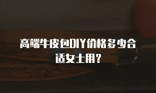 高端牛皮包DIY价格多少合适女士用？