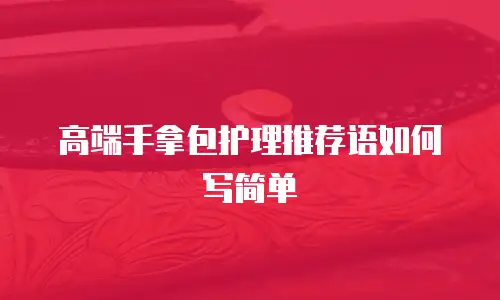 高端手拿包护理推荐语如何写简单