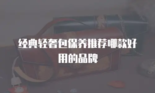 经典轻奢包保养推荐哪款好用的品牌