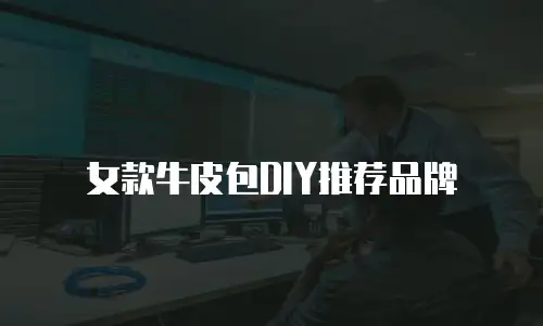 女款牛皮包DIY推荐品牌