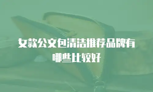 女款公文包清洁推荐品牌有哪些比较好