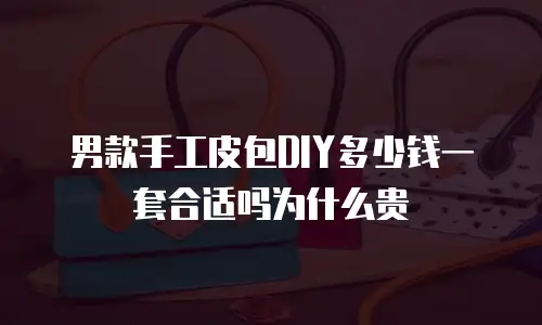 男款手工皮包DIY多少钱一套合适吗为什么贵
