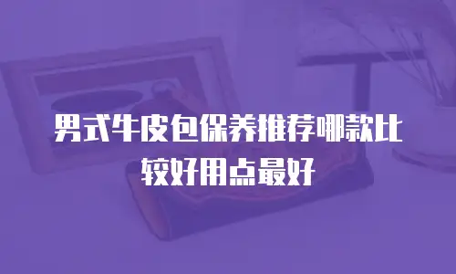男式牛皮包保养推荐哪款比较好用点最好