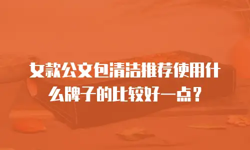 女款公文包清洁推荐使用什么牌子的比较好一点？