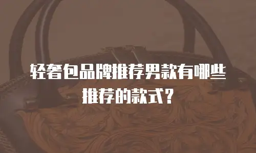 轻奢包品牌推荐男款有哪些推荐的款式？