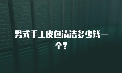 男式手工皮包清洁多少钱一个？
