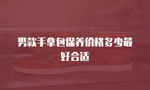 男款手拿包保养价格多少最好合适