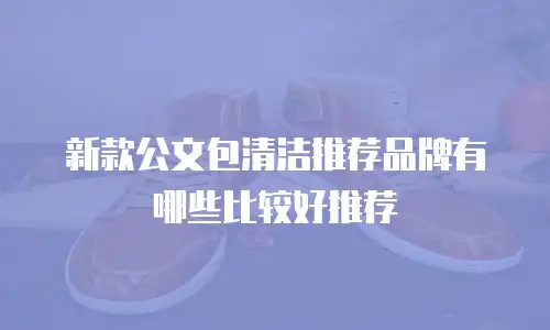 新款公文包清洁推荐品牌有哪些比较好推荐