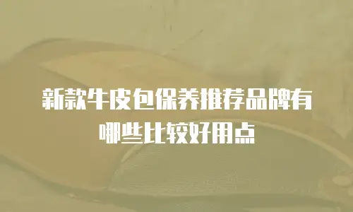 新款牛皮包保养推荐品牌有哪些比较好用点