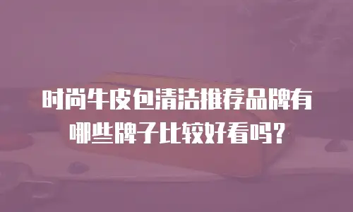 时尚牛皮包清洁推荐品牌有哪些牌子比较好看吗？