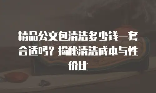 精品公文包清洁多少钱一套合适吗？揭秘清洁成本与性价比