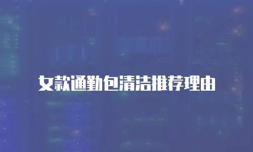女款通勤包清洁推荐理由