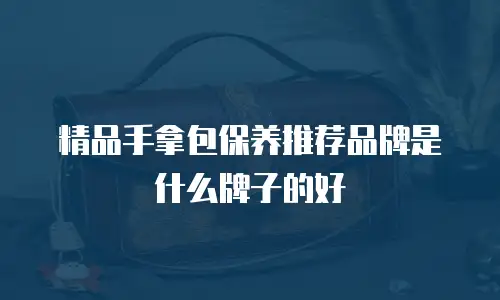精品手拿包保养推荐品牌是什么牌子的好