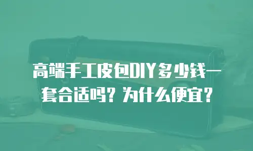 高端手工皮包DIY多少钱一套合适吗？为什么便宜？