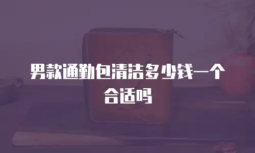 男款通勤包清洁多少钱一个合适吗