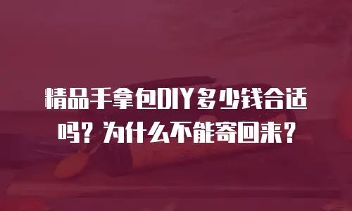 精品手拿包DIY多少钱合适吗？为什么不能寄回来？