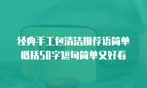 经典手工包清洁推荐语简单概括50字短句简单又好看