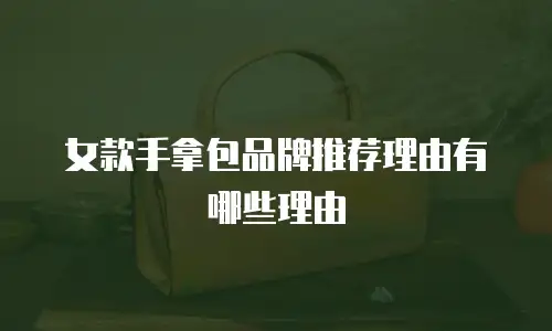 女款手拿包品牌推荐理由有哪些理由