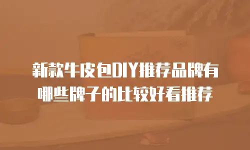 新款牛皮包DIY推荐品牌有哪些牌子的比较好看推荐
