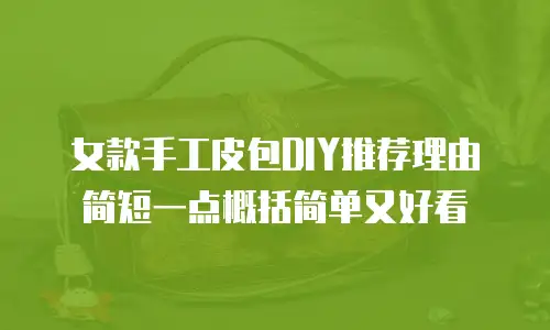 女款手工皮包DIY推荐理由简短一点概括简单又好看