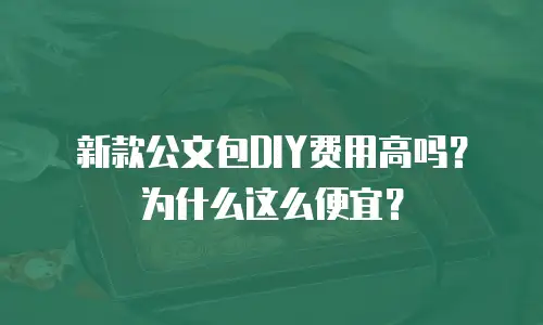 新款公文包DIY费用高吗？为什么这么便宜？