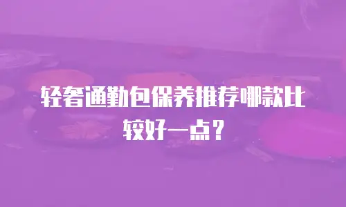 轻奢通勤包保养推荐哪款比较好一点？