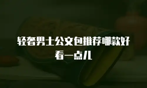 轻奢男士公文包推荐哪款好看一点儿