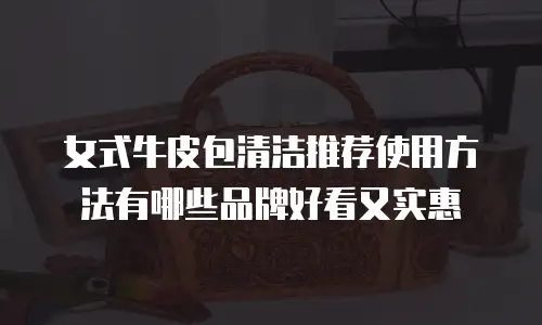 女式牛皮包清洁推荐使用方法有哪些品牌好看又实惠