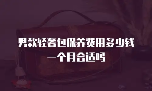 男款轻奢包保养费用多少钱一个月合适吗