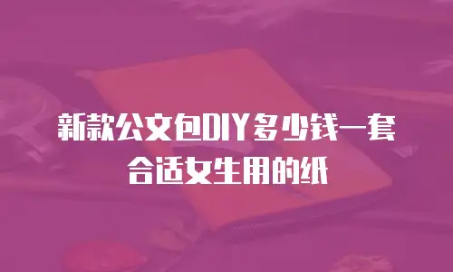 新款公文包DIY多少钱一套合适女生用的纸