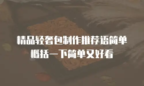 精品轻奢包制作推荐语简单概括一下简单又好看