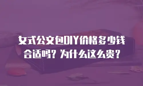女式公文包DIY价格多少钱合适吗？为什么这么贵？