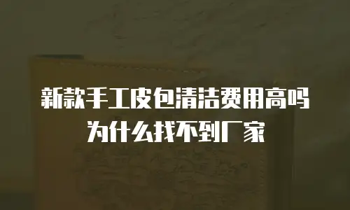新款手工皮包清洁费用高吗为什么找不到厂家