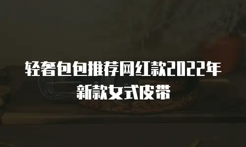 轻奢包包推荐网红款2022年新款女式皮带