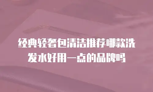 经典轻奢包清洁推荐哪款洗发水好用一点的品牌吗