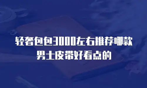 轻奢包包3000左右推荐哪款男士皮带好看点的