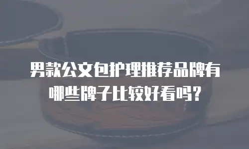 男款公文包护理推荐品牌有哪些牌子比较好看吗？