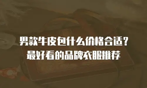男款牛皮包什么价格合适？最好看的品牌衣服推荐