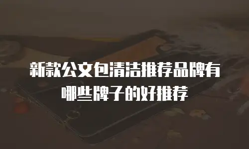 新款公文包清洁推荐品牌有哪些牌子的好推荐