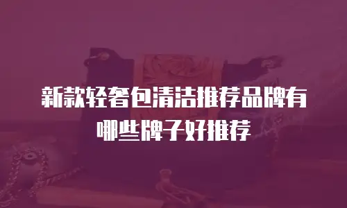 新款轻奢包清洁推荐品牌有哪些牌子好推荐