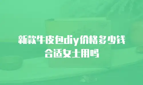 新款牛皮包diy价格多少钱合适女士用吗