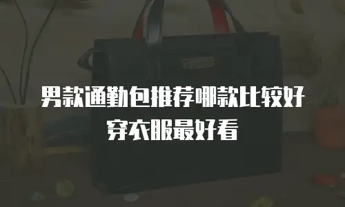 男款通勤包推荐哪款比较好穿衣服最好看